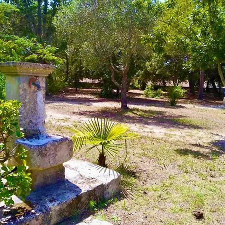 Petrelli Torre dell'Orso