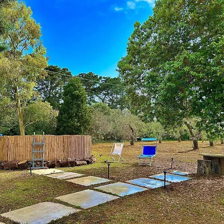 乡村民宿 Petrelli